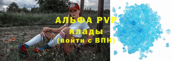 крисы Алзамай