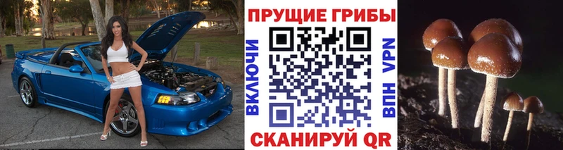 Псилоцибиновые грибы Magic Shrooms  наркота  Собинка 